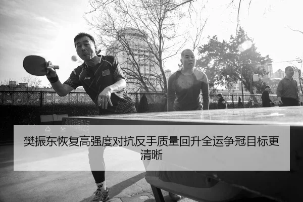 樊振东恢复高强度对抗反手质量回升全运争冠目标更清晰